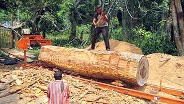 LT15 Sawmill Creates Jobs in Poorest Country of World